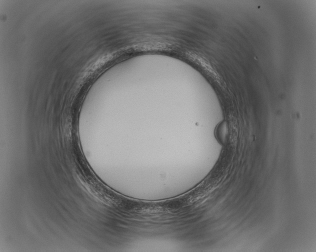 X0000062620631200601181655