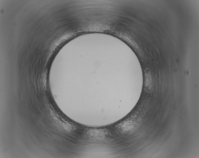 X0000062620632200601181655