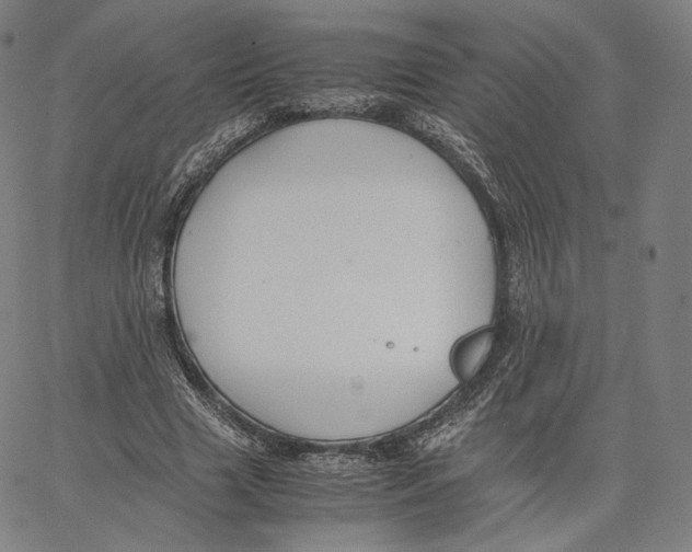 X0000062620633200601181655