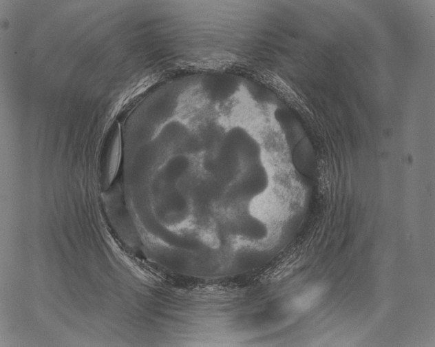 X0000062620634200601181655