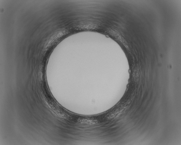 X0000062620635200601181655