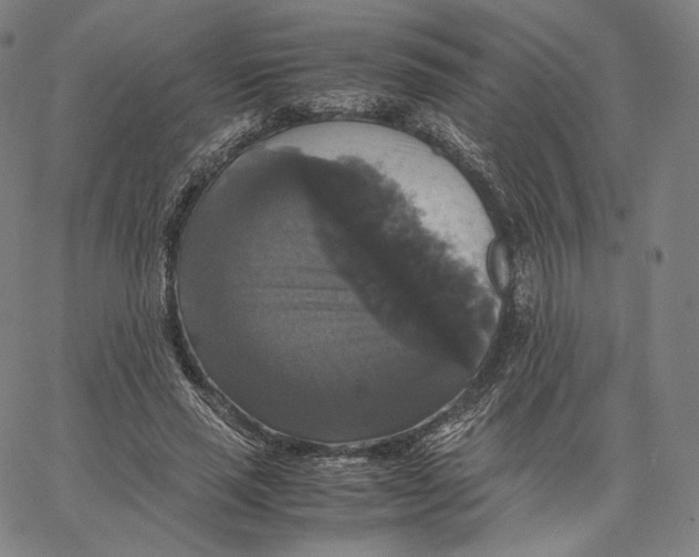 X0000062620637200601181655