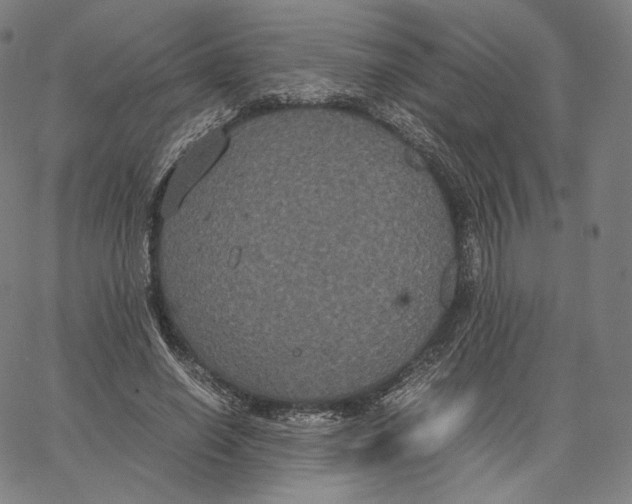 X0000062620638200601181655