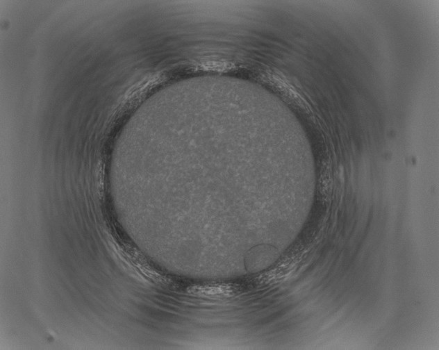 X0000062620639200601181655