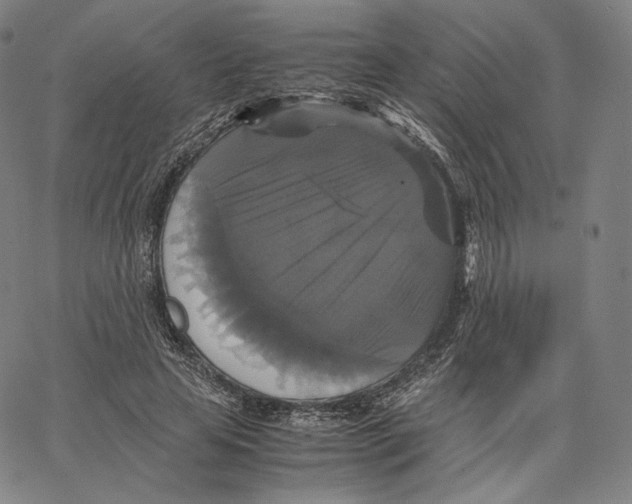 X0000062620641200601181655