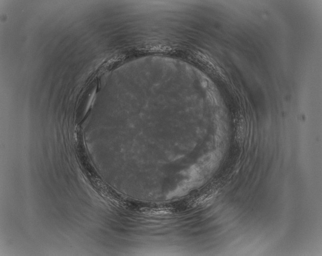 X0000062620643200601181655