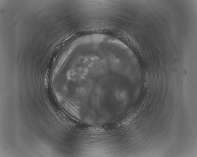 X0000062620644200601181655