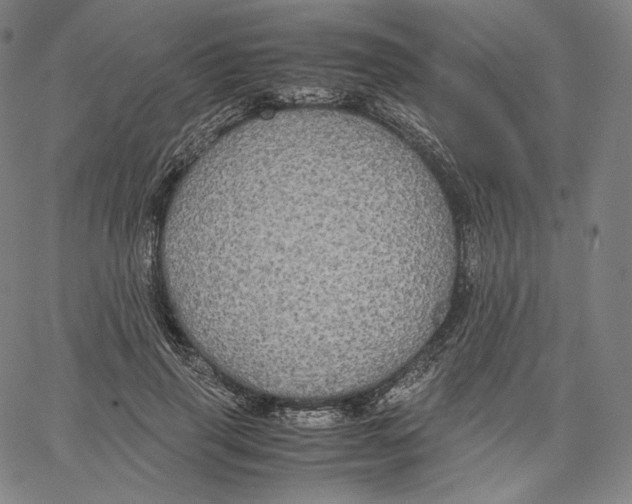 X0000062620645200601181655