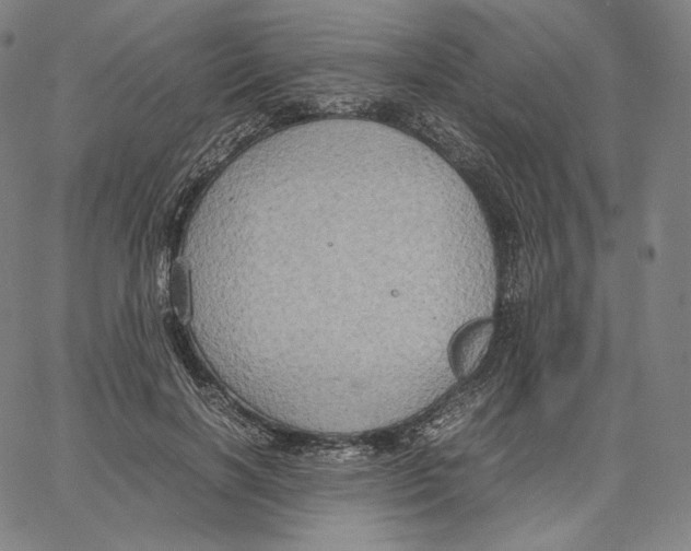 X0000062620646200601181655