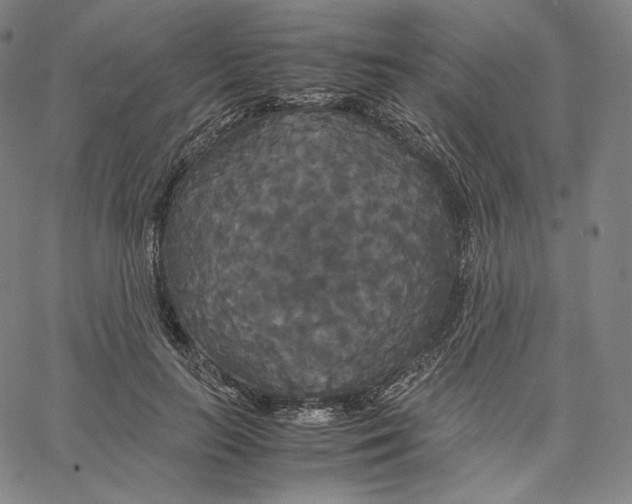 X0000062620647200601181655