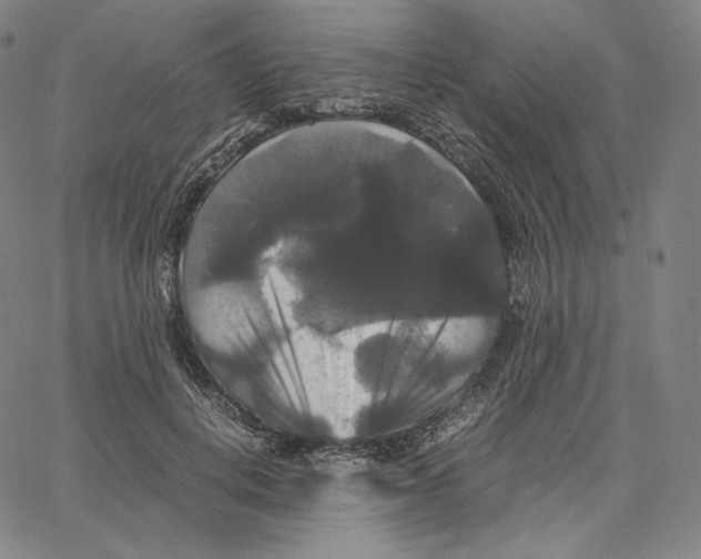 X0000062620648200601181655