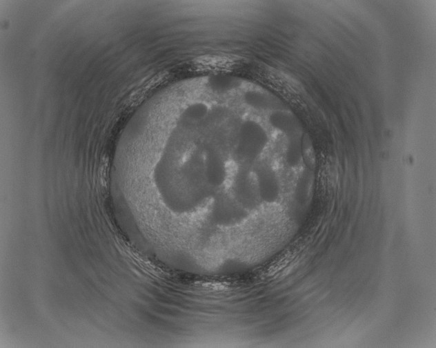 X0000062620649200601181656