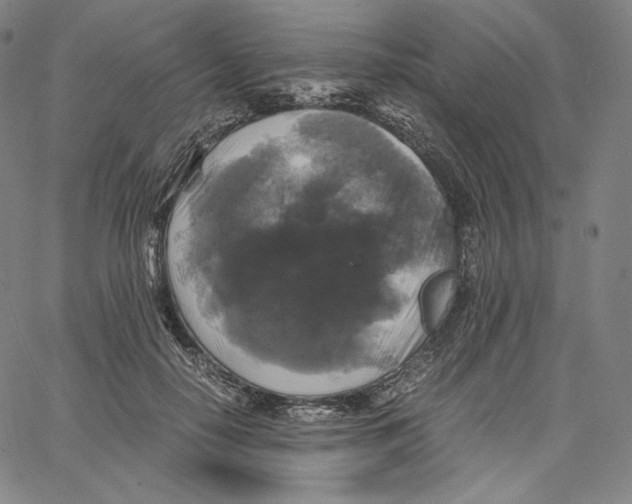 X0000062620650200601181656