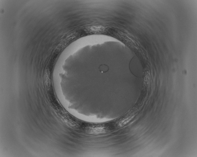 X0000062620651200601181656