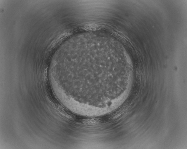 X0000062620652200601181656