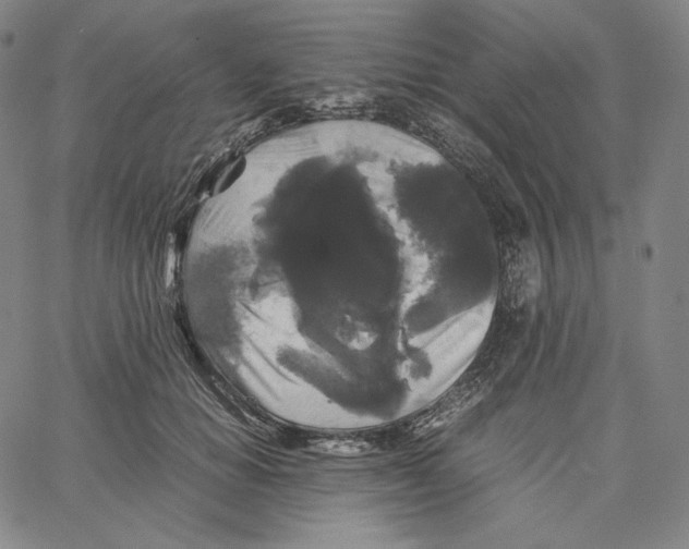 X0000062620654200601181656