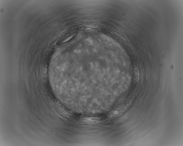 X0000062620657200601181656