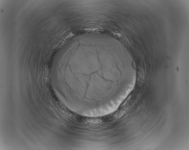 X0000062620659200601181656