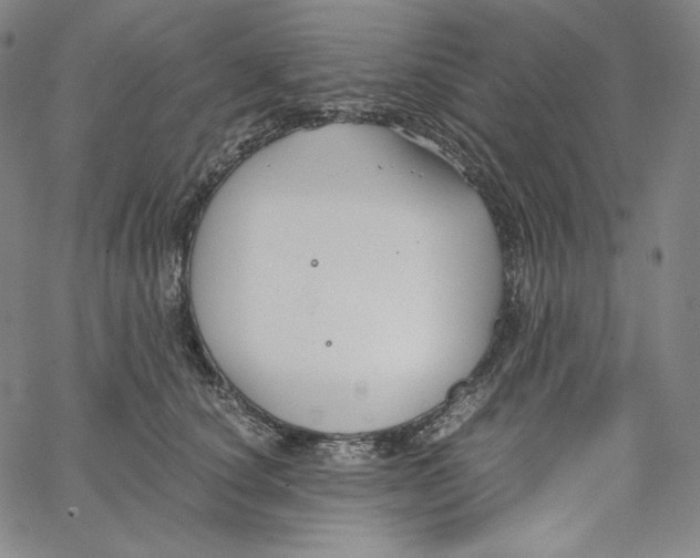 X0000062620660200601181656