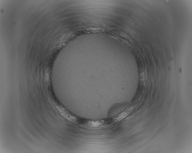 X0000062620662200601181656