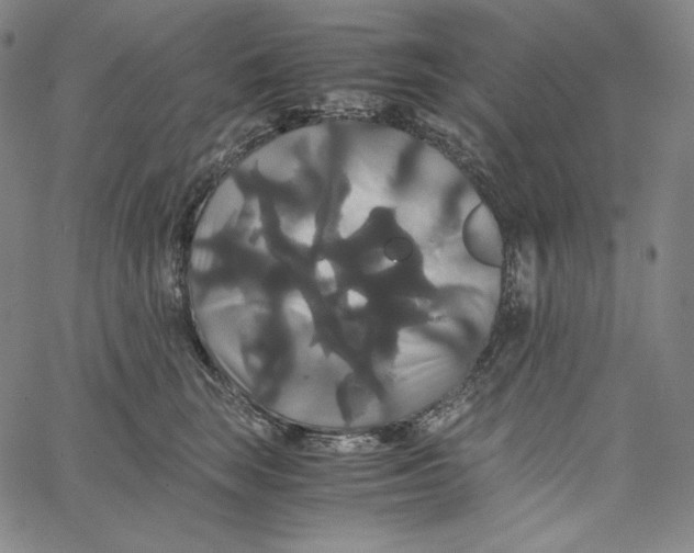 X0000062620663200601181656