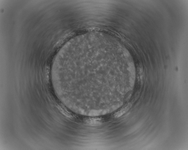 X0000062620664200601181656