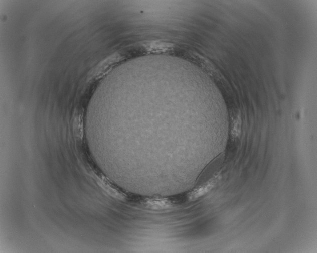 X0000062620666200601181656