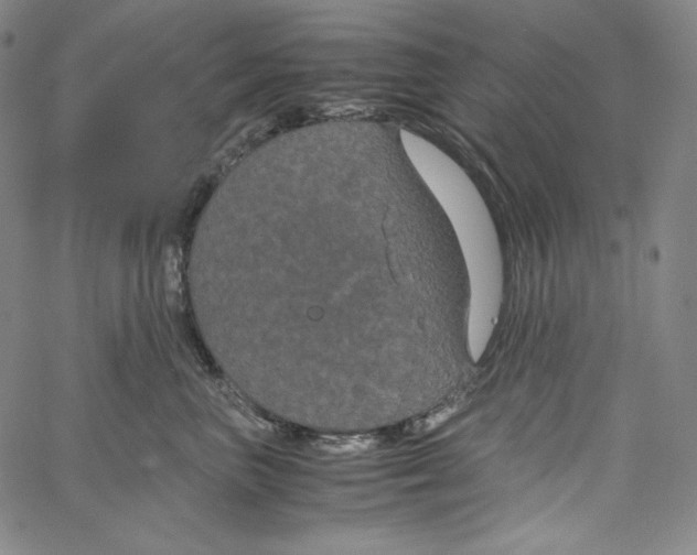 X0000062620667200601181656