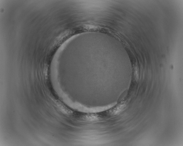 X0000062620668200601181656