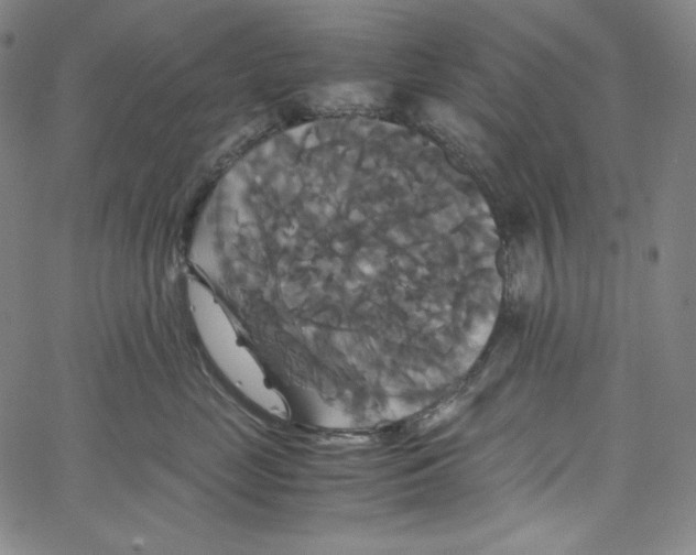 X0000062620669200601181656