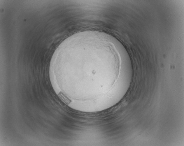 X0000062620672200601181656