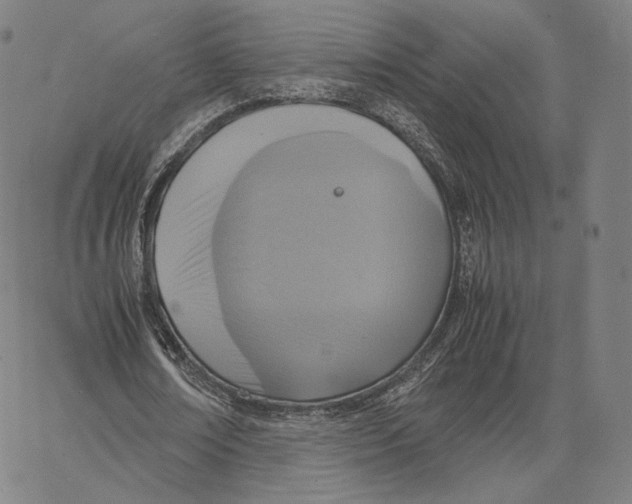 X0000062620674200601181655