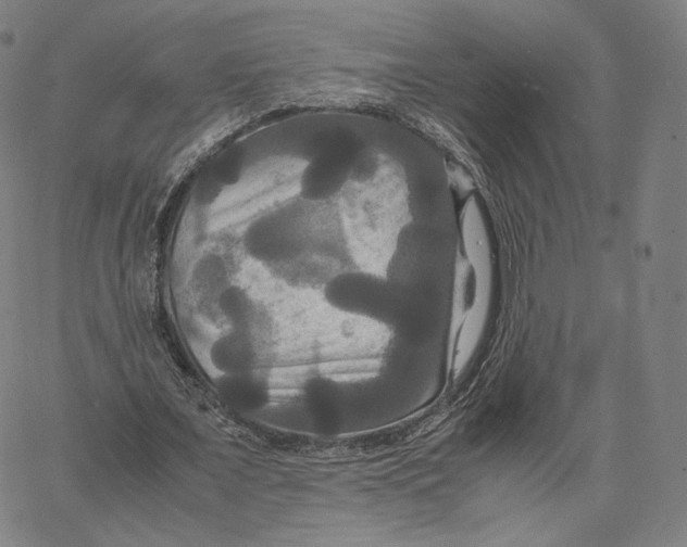 X0000062620675200601181655