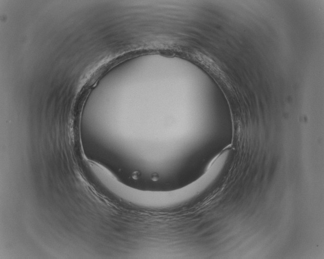 X0000062620676200601181655