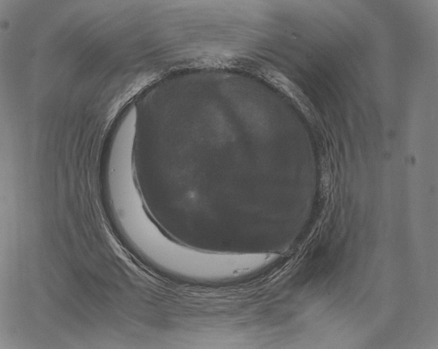 X0000062620677200601181655