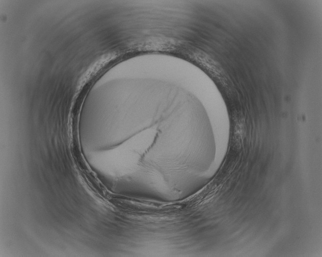 X0000062620678200601181655