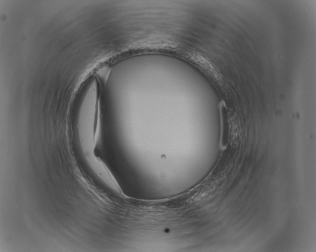 X0000062620680200601181655