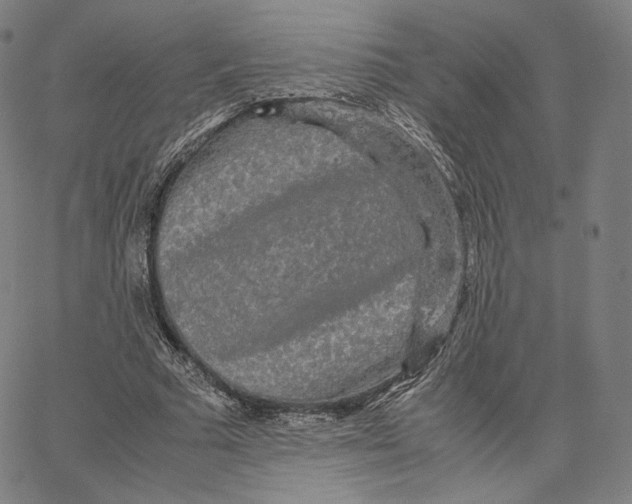 X0000062620681200601181655