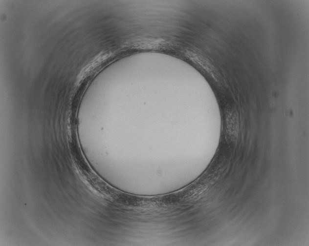 X0000062620682200601181655