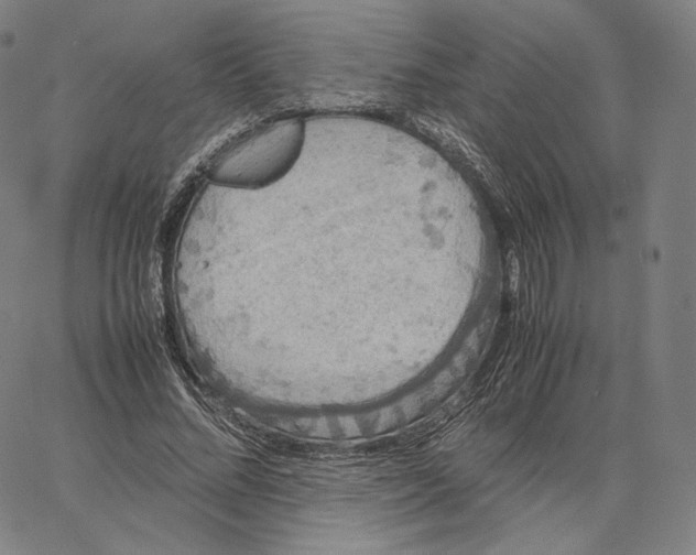 X0000062620684200601181655