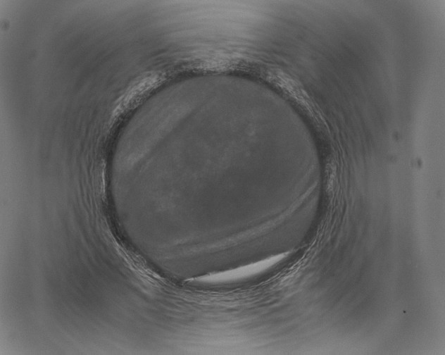 X0000062620685200601181655