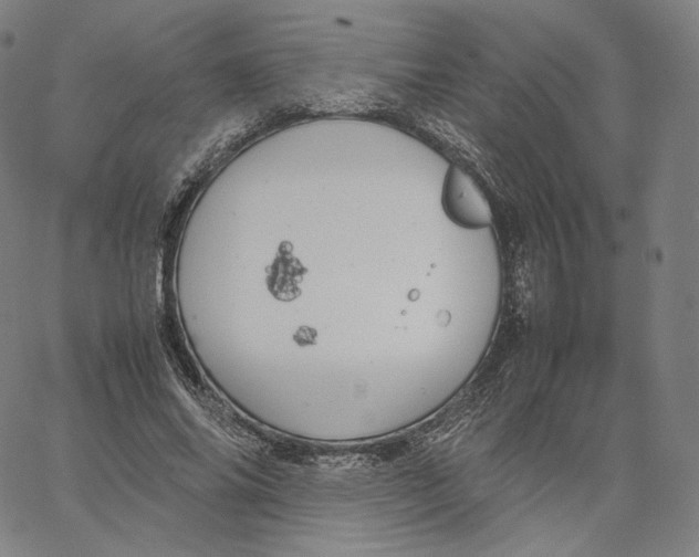 X0000062620686200601181655