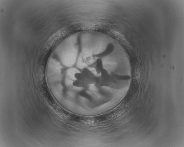 X0000062620687200601181655