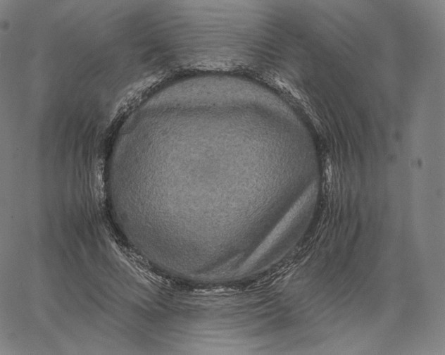 X0000062620688200601181655