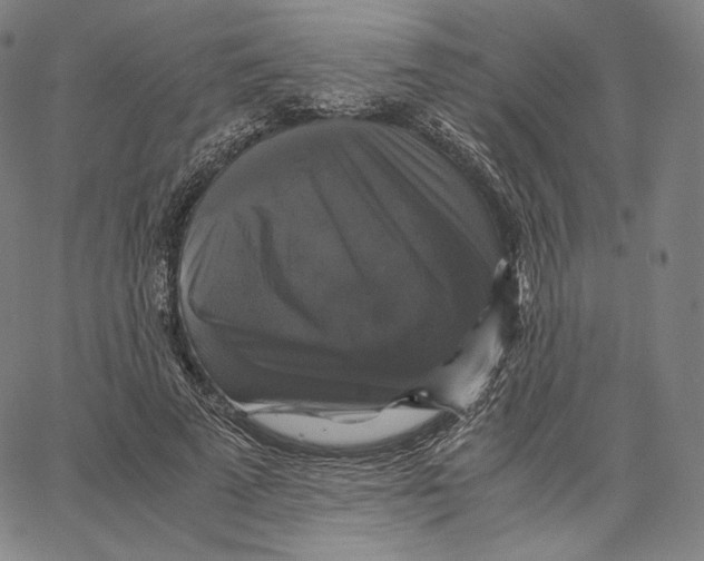 X0000062620689200601181655