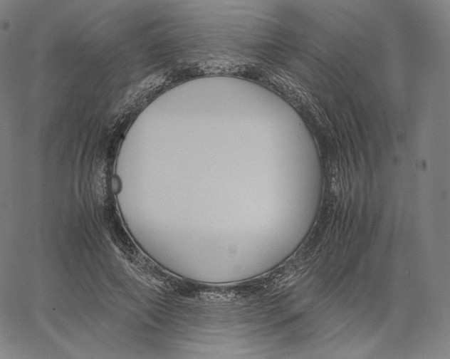 X0000062620690200601181655