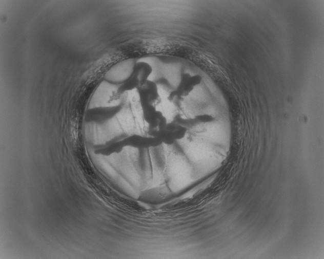 X0000062620691200601181655