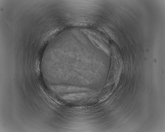 X0000062620692200601181655