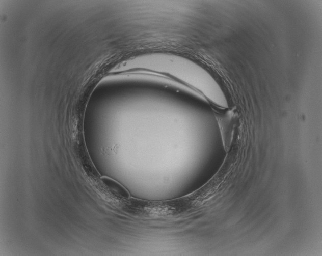 X0000062620693200601181655