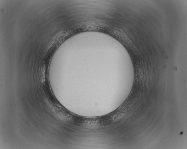 X0000062620694200601181655